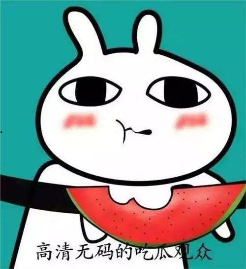 吃瓜的表情图,揭秘网络热议背后的真实心态  第1张